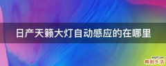 日产天籁大灯自动感应的在哪里