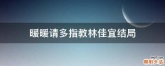 暖暖请多指教林佳宜结局