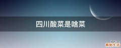 四川酸菜是啥菜