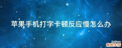 苹果手机打字卡顿反应慢怎么办