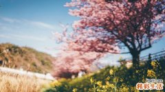 髂腹股沟神经干痛的症状，髂腹股沟神经干痛的早期症状，并发症