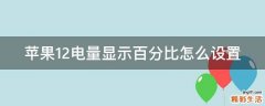 苹果12电量显示百分比怎么设置