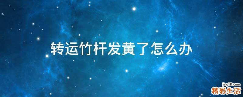 转运竹杆发黄了怎么办