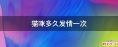 猫咪多久发情一次