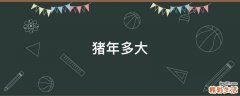 猪年多大