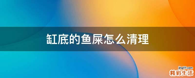 缸底的鱼屎怎么清理