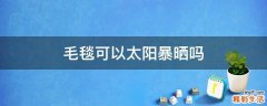 毛毯可以太阳暴晒吗