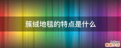 簇绒地毯的特点是什么
