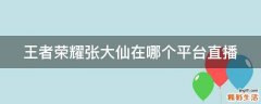 王者荣耀张大仙在哪个平台直播