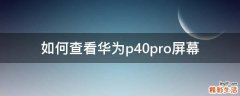 如何查看华为p40pro屏幕