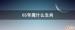 65年属什么生肖