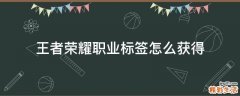 王者荣耀职业标签怎么获得