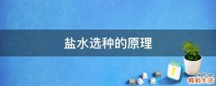 盐水选种的原理