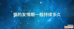 猫的发情期一般持续多久