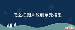 怎么把图片放到单元格里