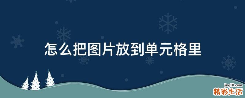 怎么把图片放到单元格里