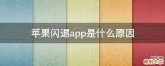 苹果闪退app是什么原因