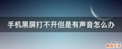 手机黑屏打不开但是有声音怎么办