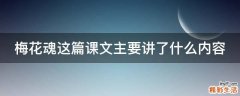 梅花魂这篇课文主要讲了什么内容