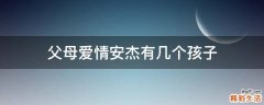 父母爱情安杰有几个孩子