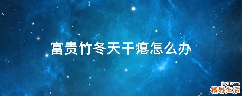 富贵竹冬天干瘪怎么办
