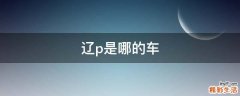 辽p是哪的车