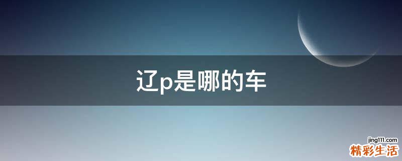 辽p是哪的车