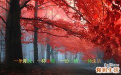 3 轻熟女如何抵抗自由基