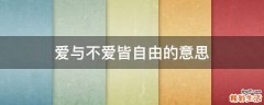 爱与不爱皆自由的意思