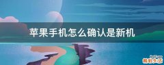 苹果手机怎么确认是新机