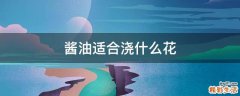 酱油适合浇什么花
