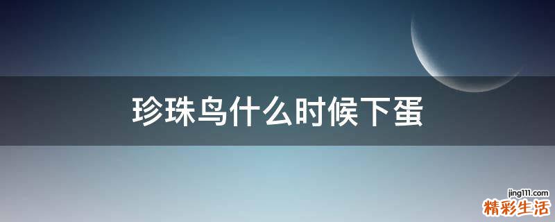 珍珠鸟什么时候下蛋
