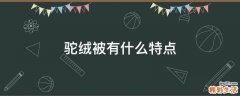 驼绒被有什么特点