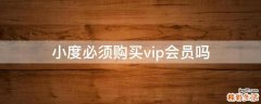 小度必须购买vip会员吗