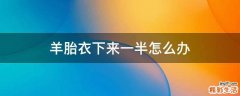 羊胎衣下来一半怎么办