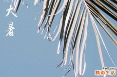 大暑是几月几号2023年几点