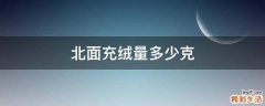 北面充绒量多少克