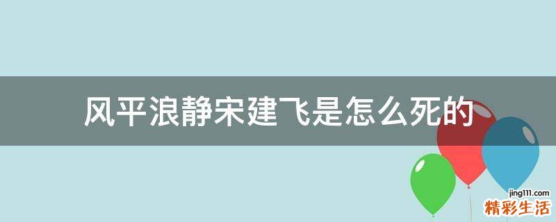 风平浪静宋建飞是怎么死的