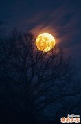 中医妙方熬夜上火