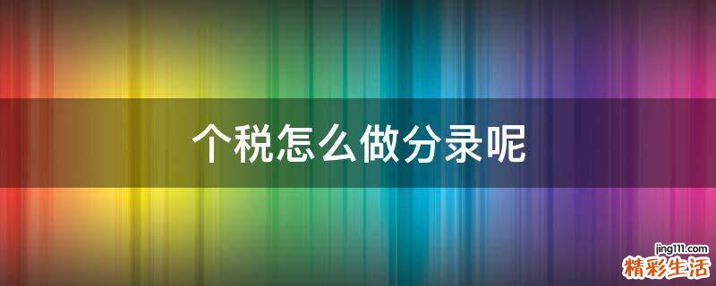 个税怎么做分录呢