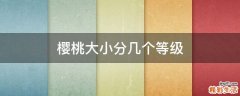 樱桃大小分几个等级