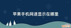 苹果手机网速显示在哪里