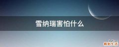 雪纳瑞害怕什么