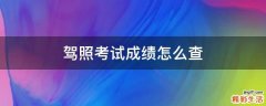 驾照考试成绩怎么查