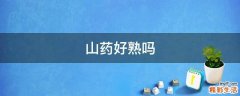 山药好熟吗