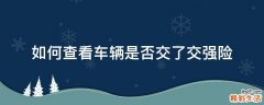 如何查看车辆是否交了交强险