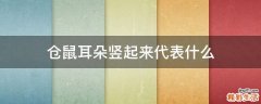 仓鼠耳朵竖起来代表什么