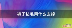 裤子粘毛用什么去掉