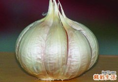 大蒜煮水能治外阴瘙痒吗 有什么作用？怎么洗呢？