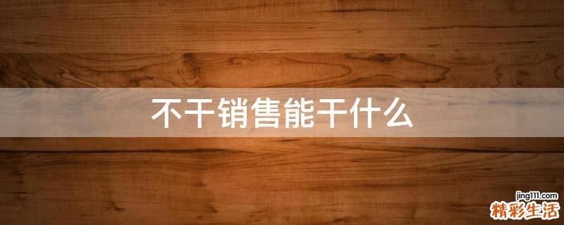 不干销售能干什么